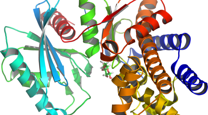 Isoenzimi dell’esochinasi